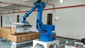 Sanitaryware Industry - Palletizing